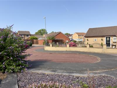 Picture 21